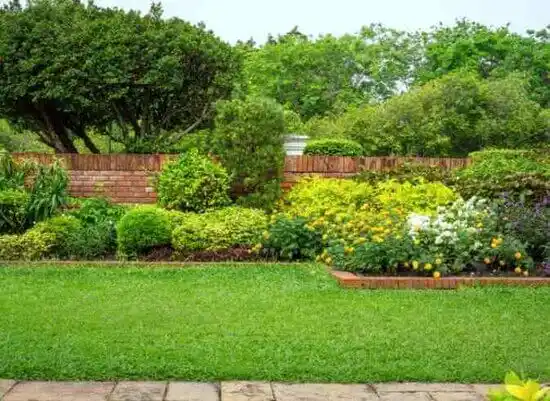 landscaping services Bronx